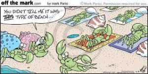 Jupiter Crabs chilling!