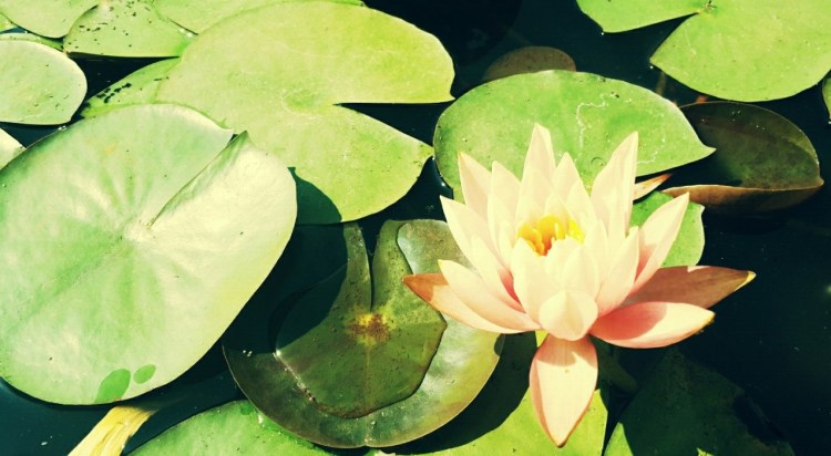 image-f7d35e20d2ed83d4a576d8a189ca6c8d5a271d48063a8a1619bd1d3a474a8c23-V