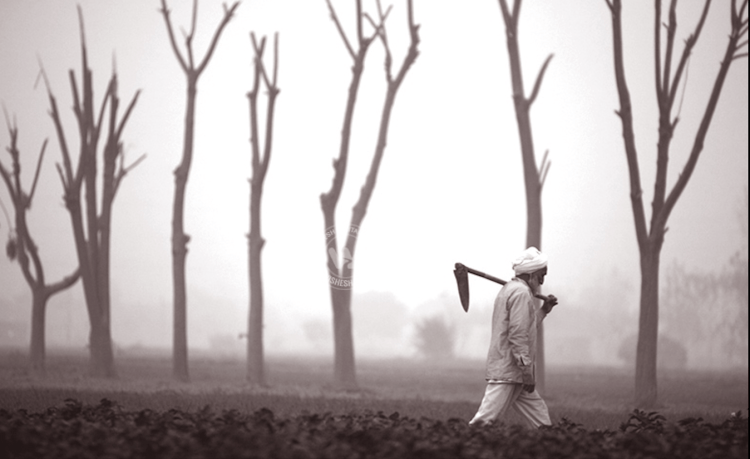 Screen Shot 2015-11-28 at 12.11.47 PM